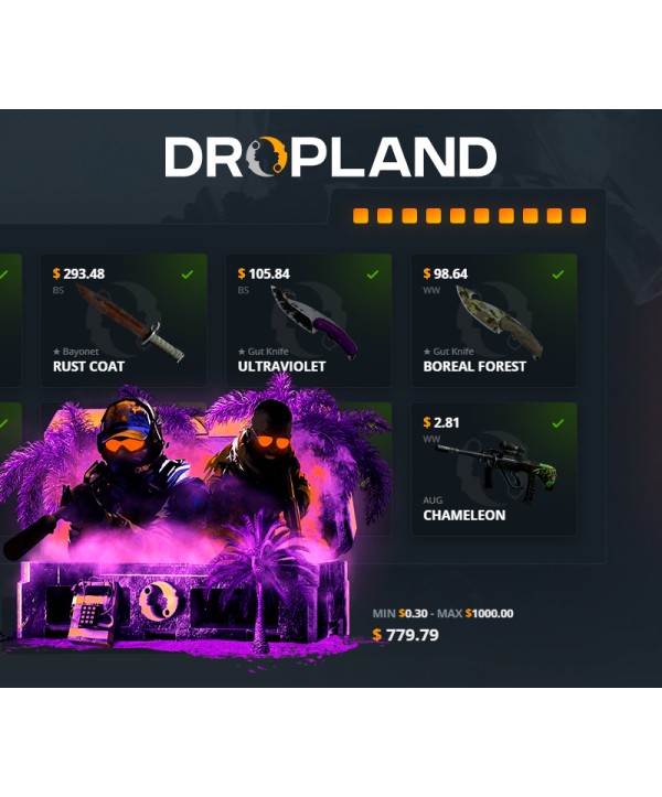 Random CS2 Skin Case Dropland.net Key GLOBAL